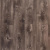 Amalfi Yew  (Тис Амальфи) LM-09