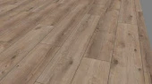 6020 Дуб Кашмир Титан
