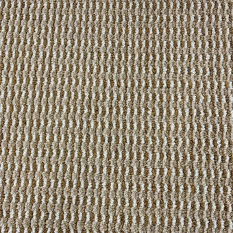 Platan 10064