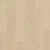 AVSPU40277 Дуб Молочный