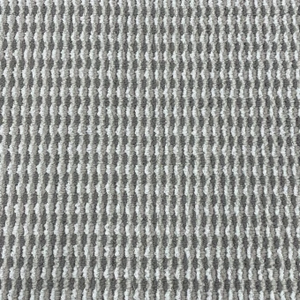Platan 10061