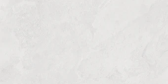 Porter Silver Pro Керамогранит светло-серый LP6012G0171R 59,5х119,1 матовый R10 STR