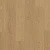 AVSPU40278 Дуб Пряничный
