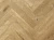 LF304-09 Дуб Хайнан