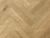 LF304-09 Дуб Хайнан