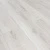 161113 Дуб Веласкес 161113 Дуб Веласкес