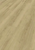 4686 Дуб Тахо