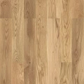 STEP 