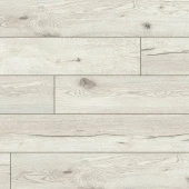 56879 Дуб белый / White oak
