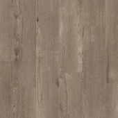 КАИЛ / KYLE