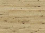 62496 Дуб Ардизия FSC 