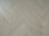 520 Дуб Бостон