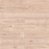 56688 Дуб Марконе / Marcone Oak