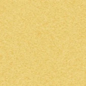 0751 GRANIT BANANA