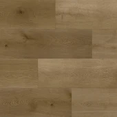 6537 Дуб Кэмбел