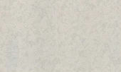 9171-24 Shape
