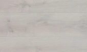 56886 Дуб белый / White oak