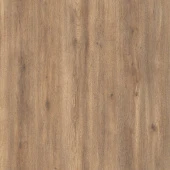 FP582 Дуб Престон FP582 Дуб Престон