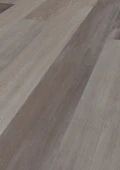4738 Дуб северный
