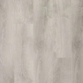 CXI150 Дуб Хоккайдо