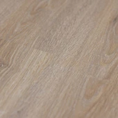 Дуб Монгольский Дуб Монгольский