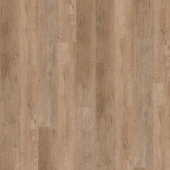 5610 Дуб Корсар