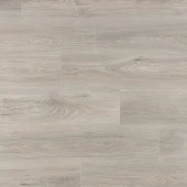 IMU 8471  Дуб Северное сияние