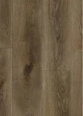 Федель D50667