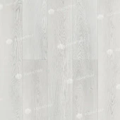 ECO 11-1203 Дейнтри