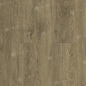 ECO 11-1102 Маслина