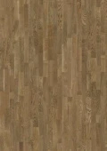 ДУБ СОФИ / Oak Sophie
