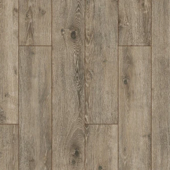 ID71 Дуб Дега