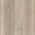 SF02 Дуб Миланский SF02 Дуб Миланский