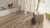 Standart K4361 Дуб Тренд