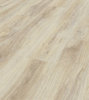 5236 Дуб Гренландский