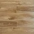 SH1708 Дуб Ксеро  SH1708 Дуб Ксеро