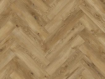 63262 Дуб Каррито 