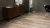 Standart K4361 Дуб Тренд