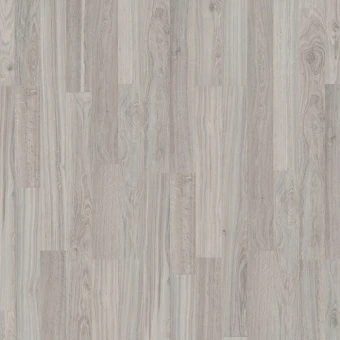 K056 Дуб Мэйн