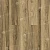 ECO 22-3 Ногал
