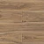 50827 Дуб Маноло 50827 Дуб Маноло