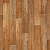 SPRINT PRO - Toronto 1 SPRINT PRO - Toronto 1