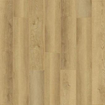 Селеста Селеста