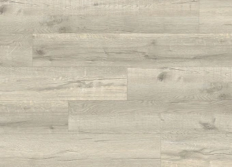 8306 Дуб Скандик