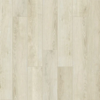 Верди Верди