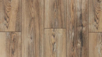 LM-07  Дуб Рим / Rome Oak