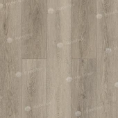 ECO 11-2702 Мета