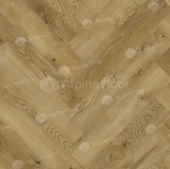 63262 Дуб Каррито