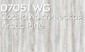 7051 Сосна Арктическая