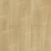 LF302-04 Дуб Тасмания